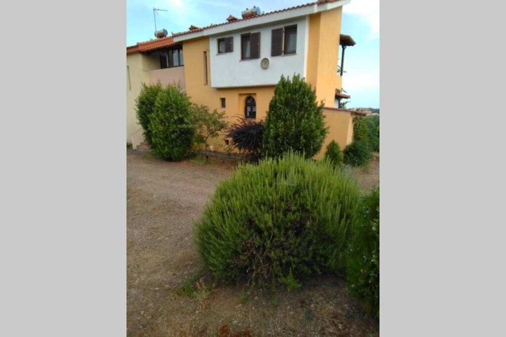 "Klio" Appartment Nikíti Kültér fotó
